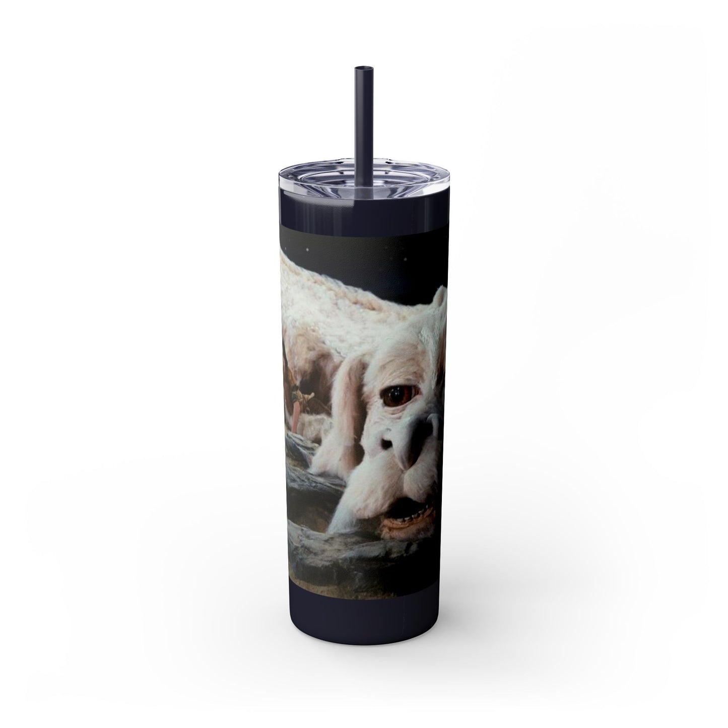 Flacor & Atreyu Neverending Story Skinny Tumbler - House of O & A