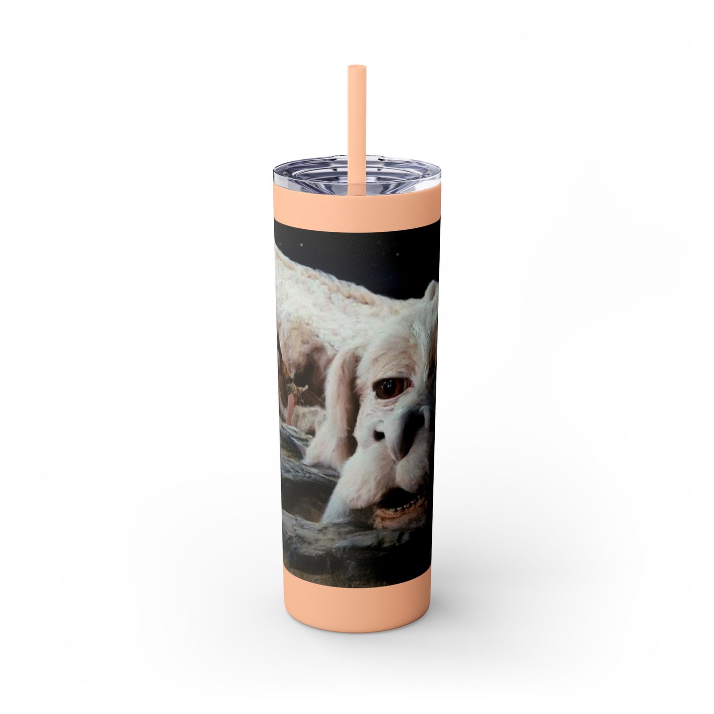 Flacor & Atreyu Neverending Story Skinny Tumbler - House of O & A