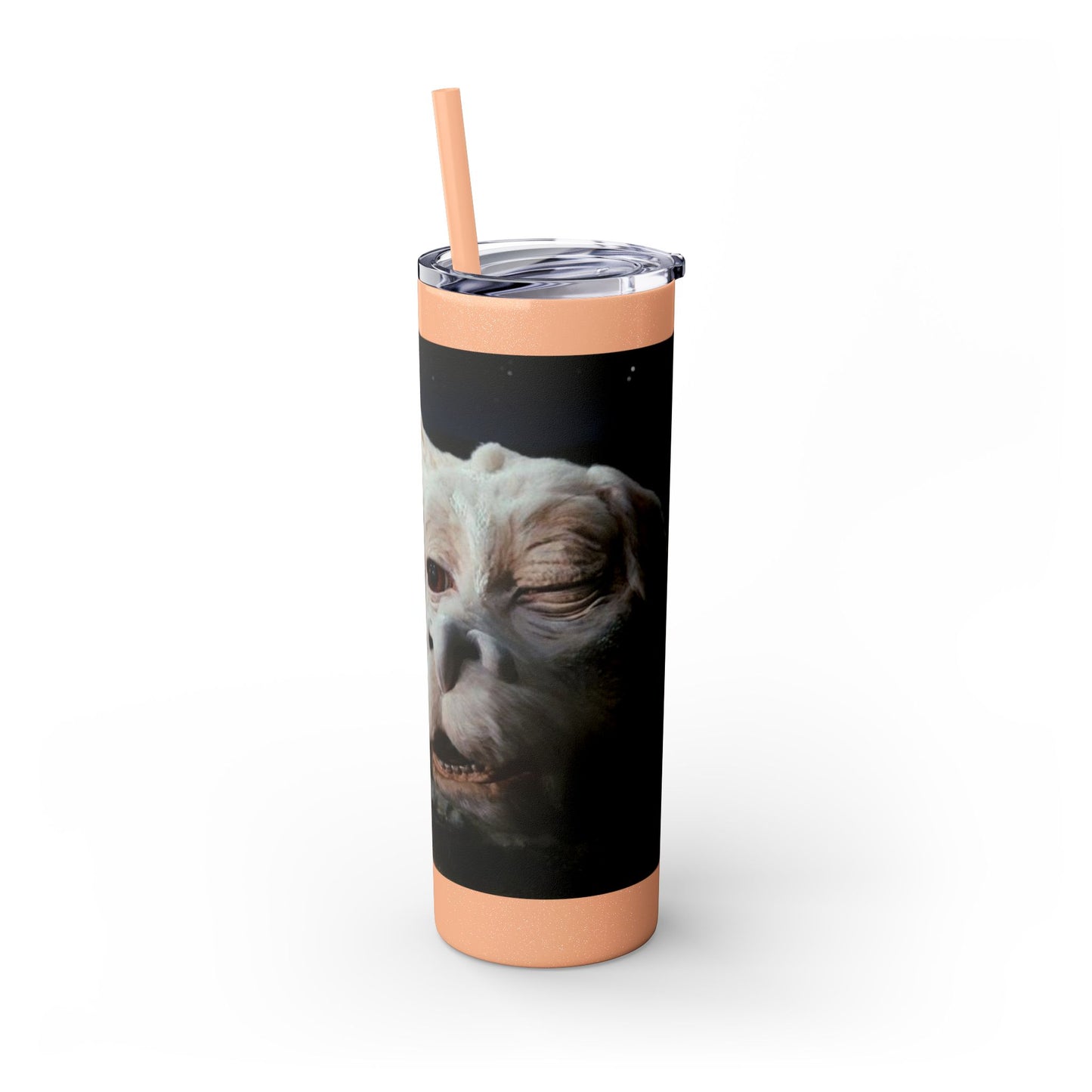 Flacor & Atreyu Neverending Story Skinny Tumbler - House of O & A