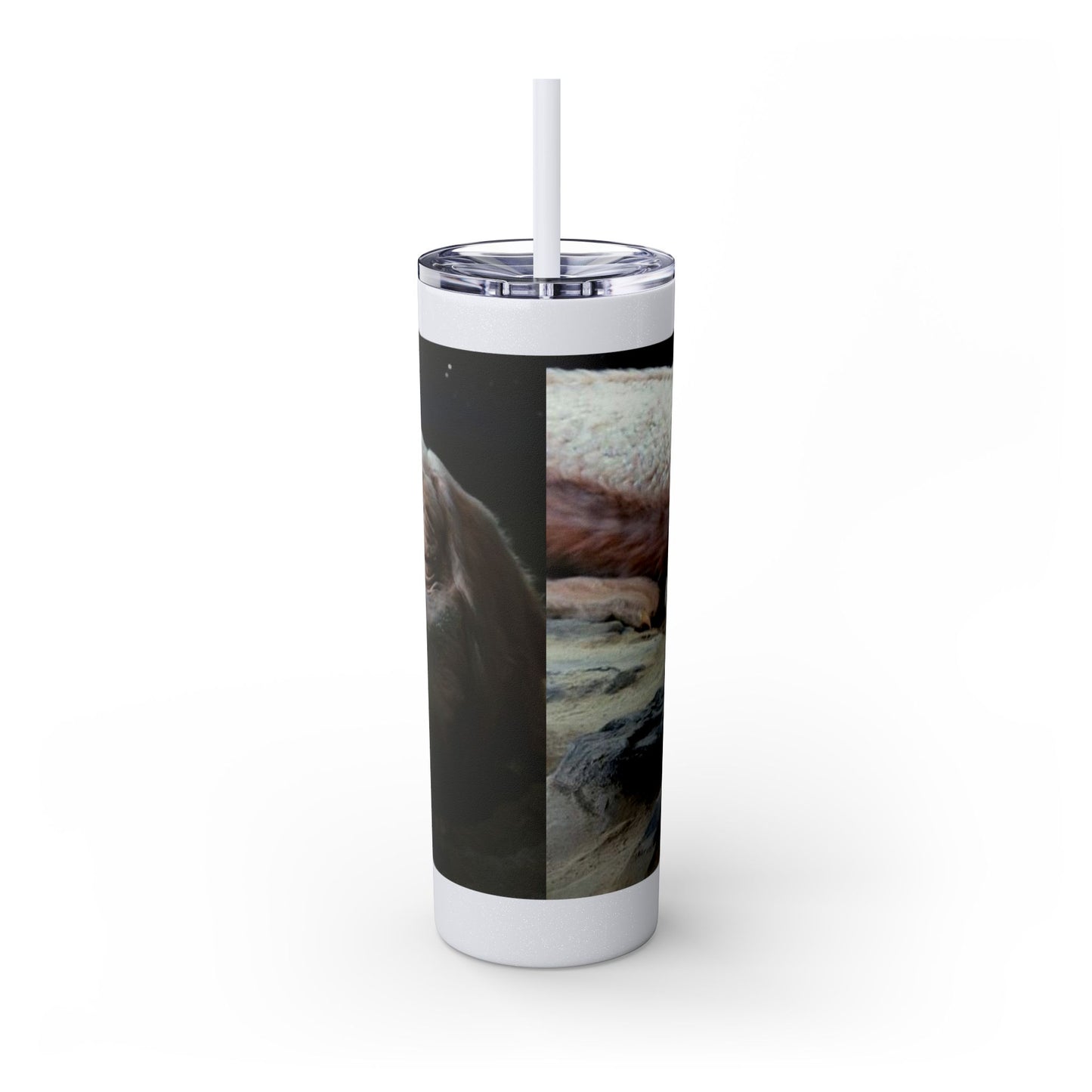Flacor & Atreyu Neverending Story Skinny Tumbler