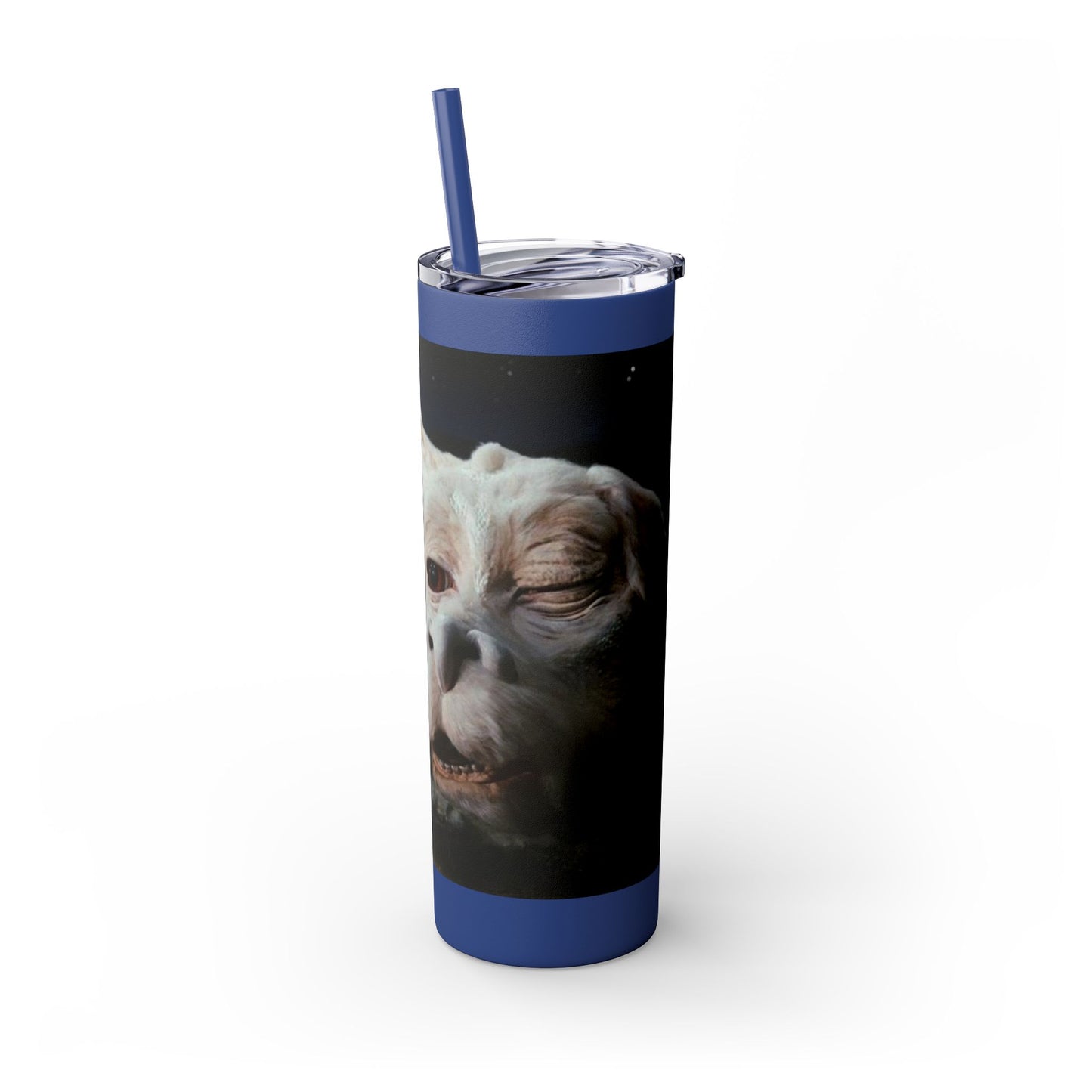 Flacor & Atreyu Neverending Story Skinny Tumbler