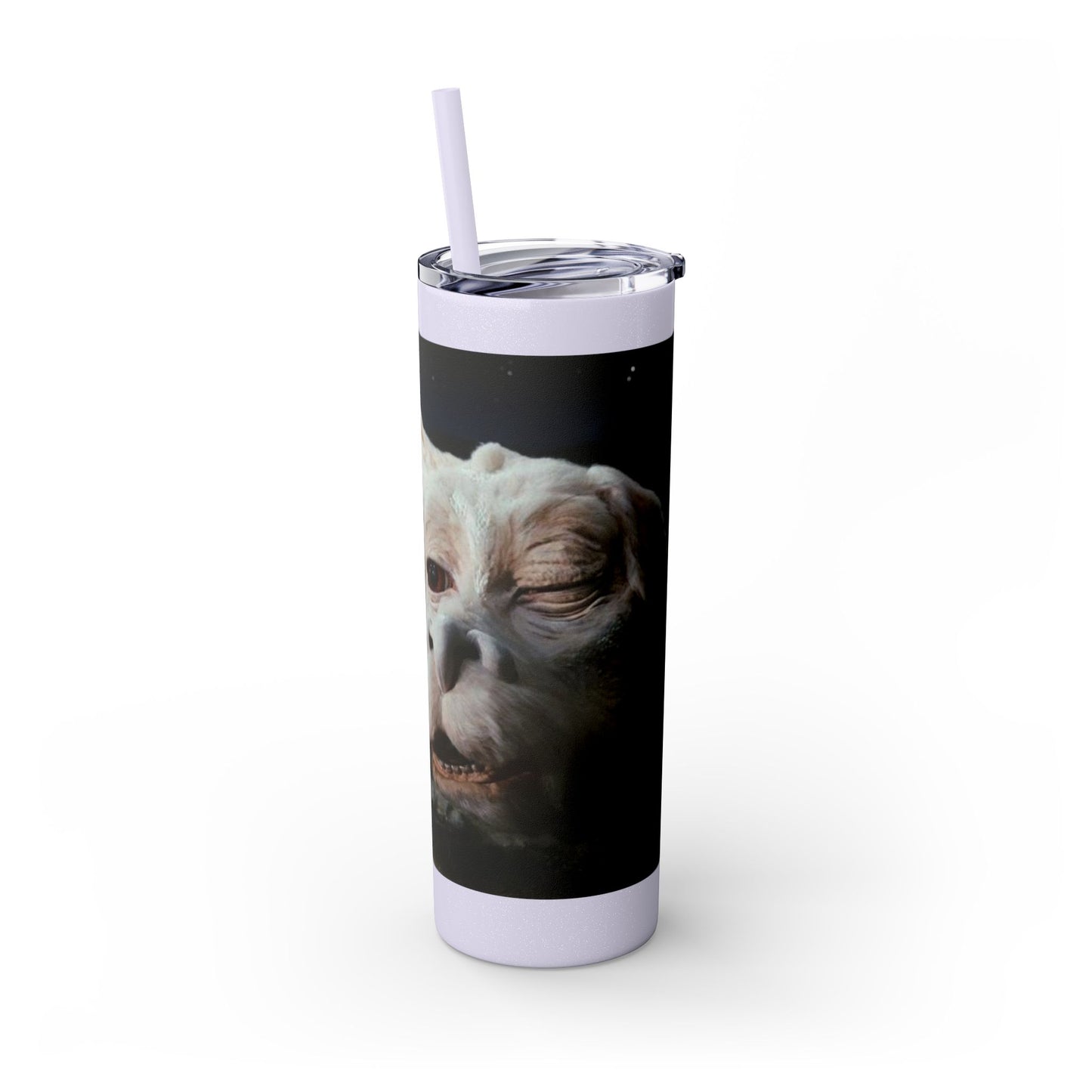 Flacor & Atreyu Neverending Story Skinny Tumbler - House of O & A
