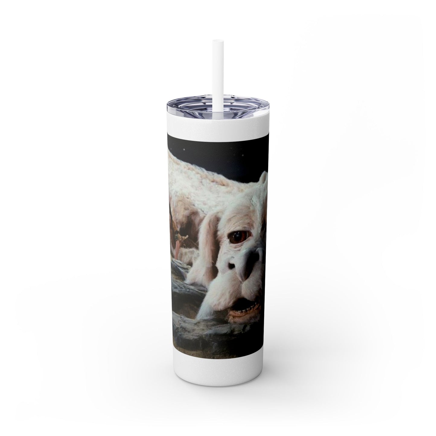 Flacor & Atreyu Neverending Story Skinny Tumbler - House of O & A