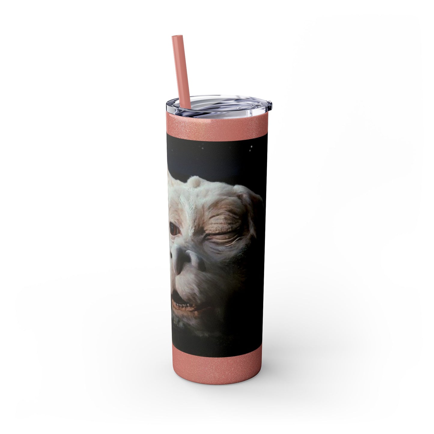 Flacor & Atreyu Neverending Story Skinny Tumbler
