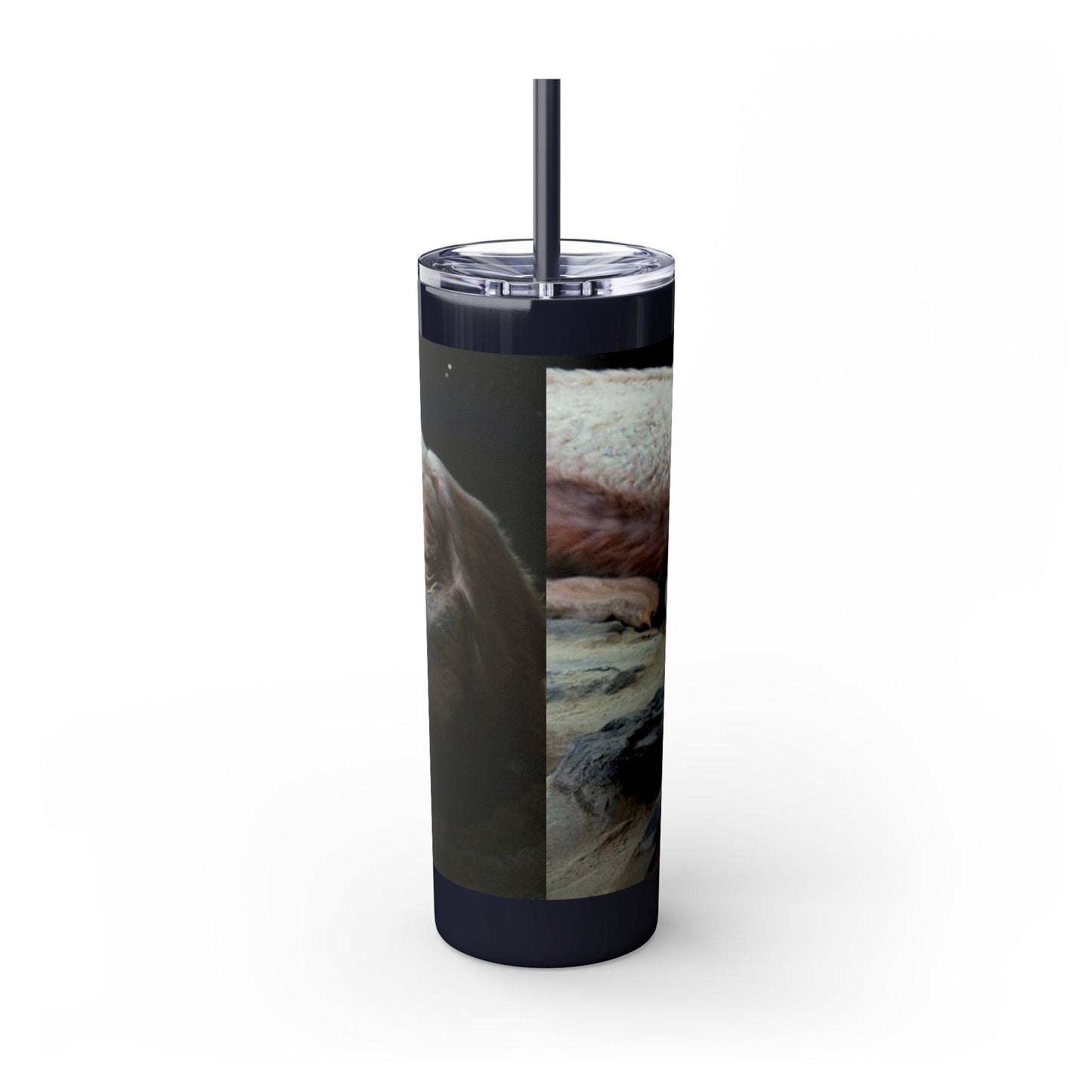 Flacor & Atreyu Neverending Story Skinny Tumbler