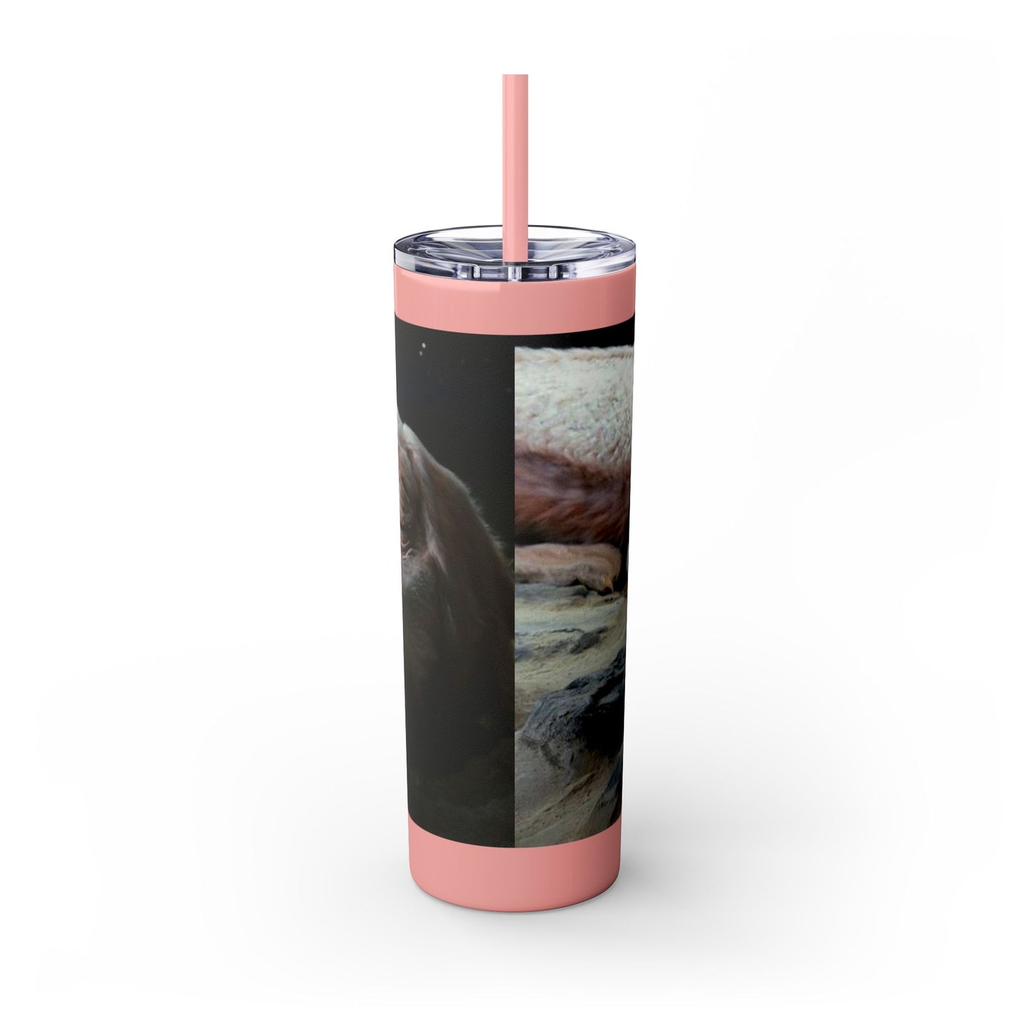 Flacor & Atreyu Neverending Story Skinny Tumbler
