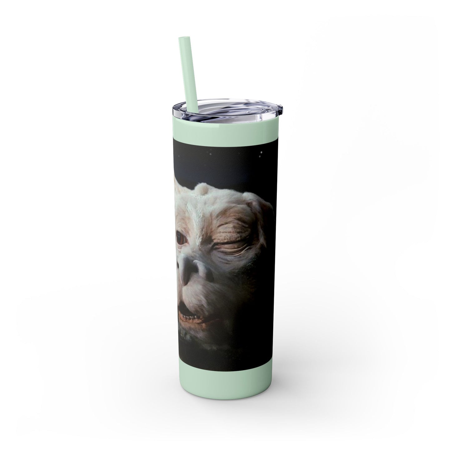 Flacor & Atreyu Neverending Story Skinny Tumbler
