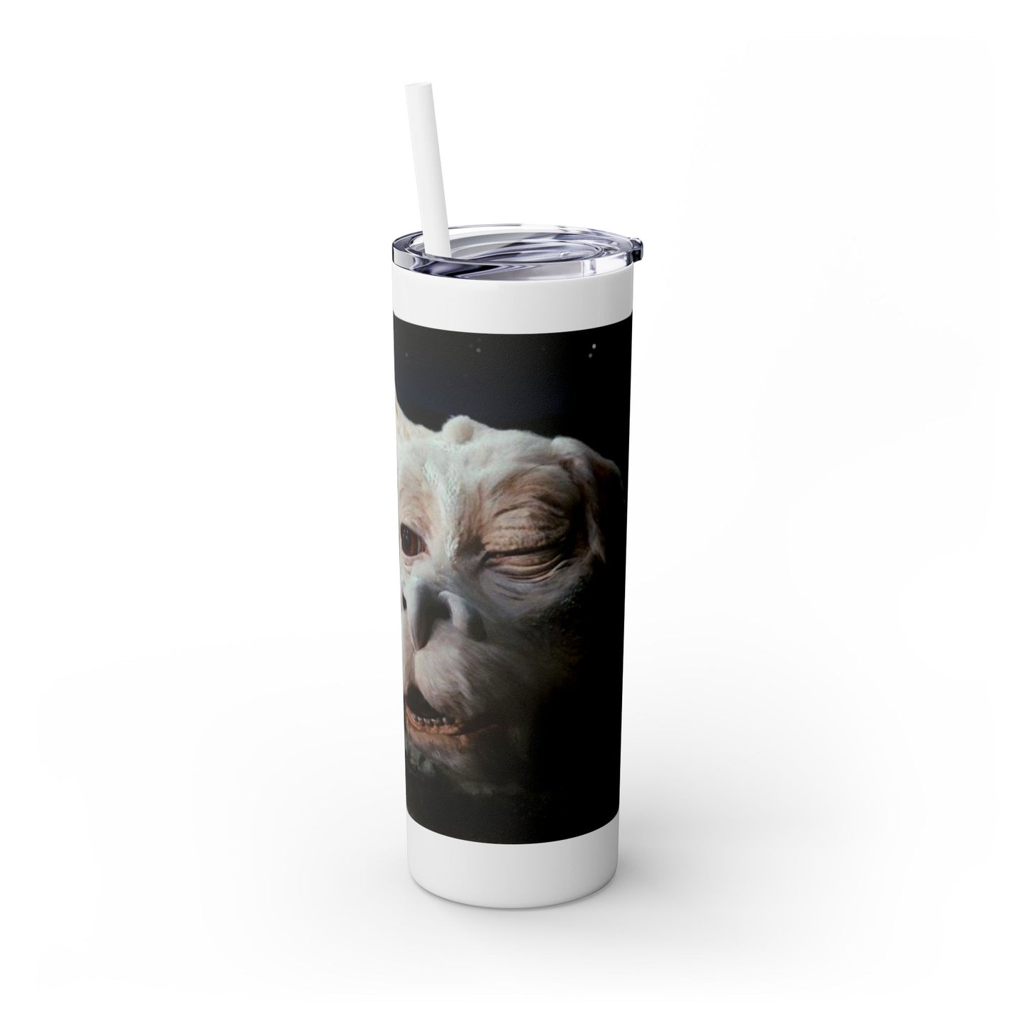 Flacor & Atreyu Neverending Story Skinny Tumbler - House of O & A