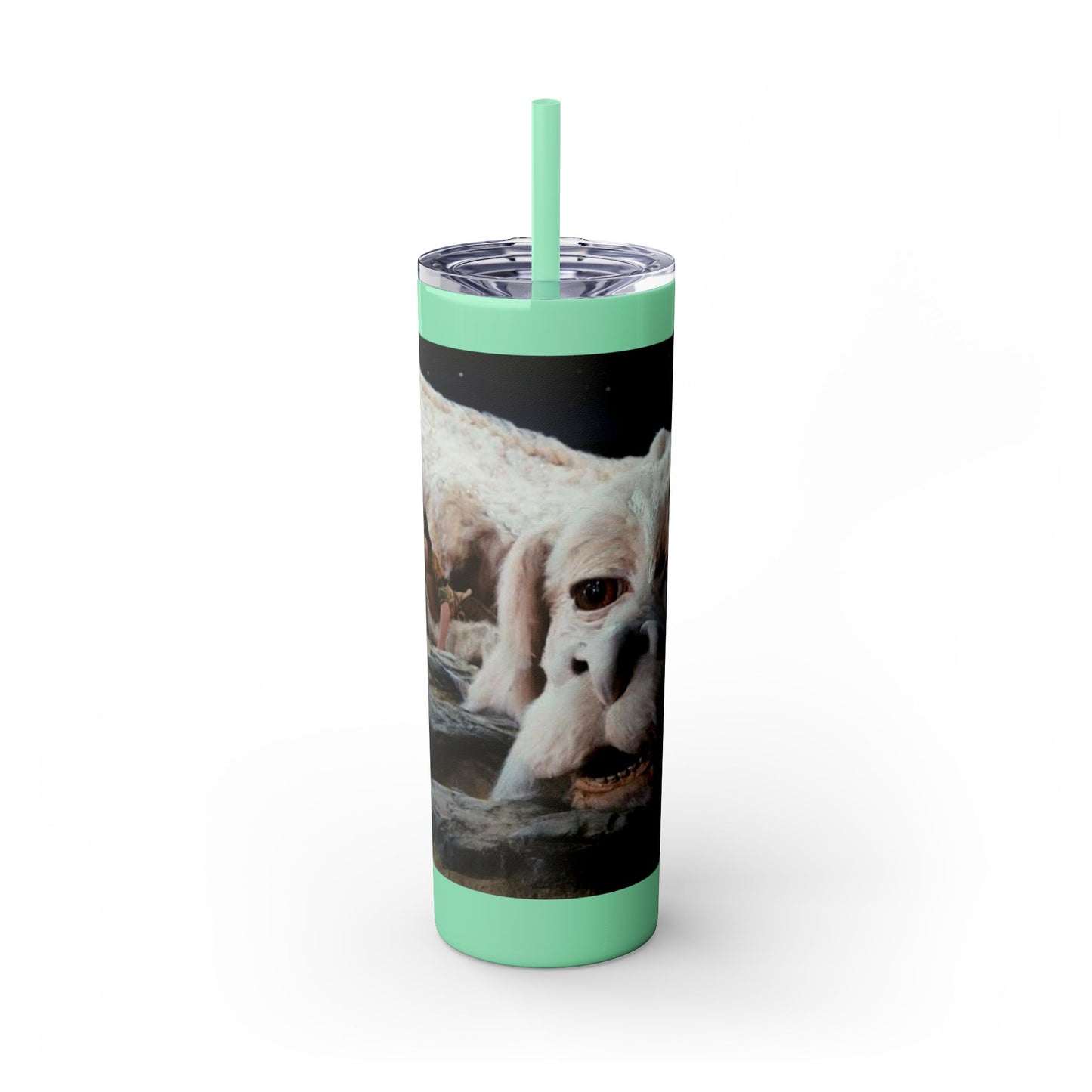 Flacor & Atreyu Neverending Story Skinny Tumbler - House of O & A