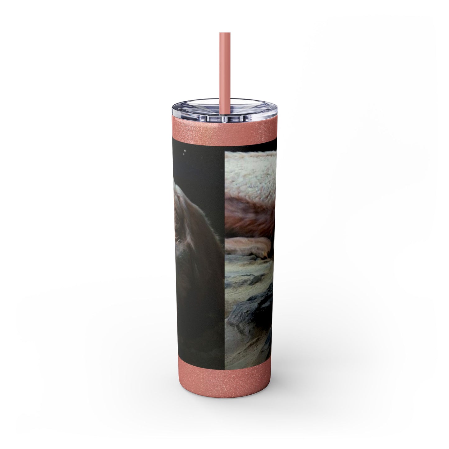 Flacor & Atreyu Neverending Story Skinny Tumbler