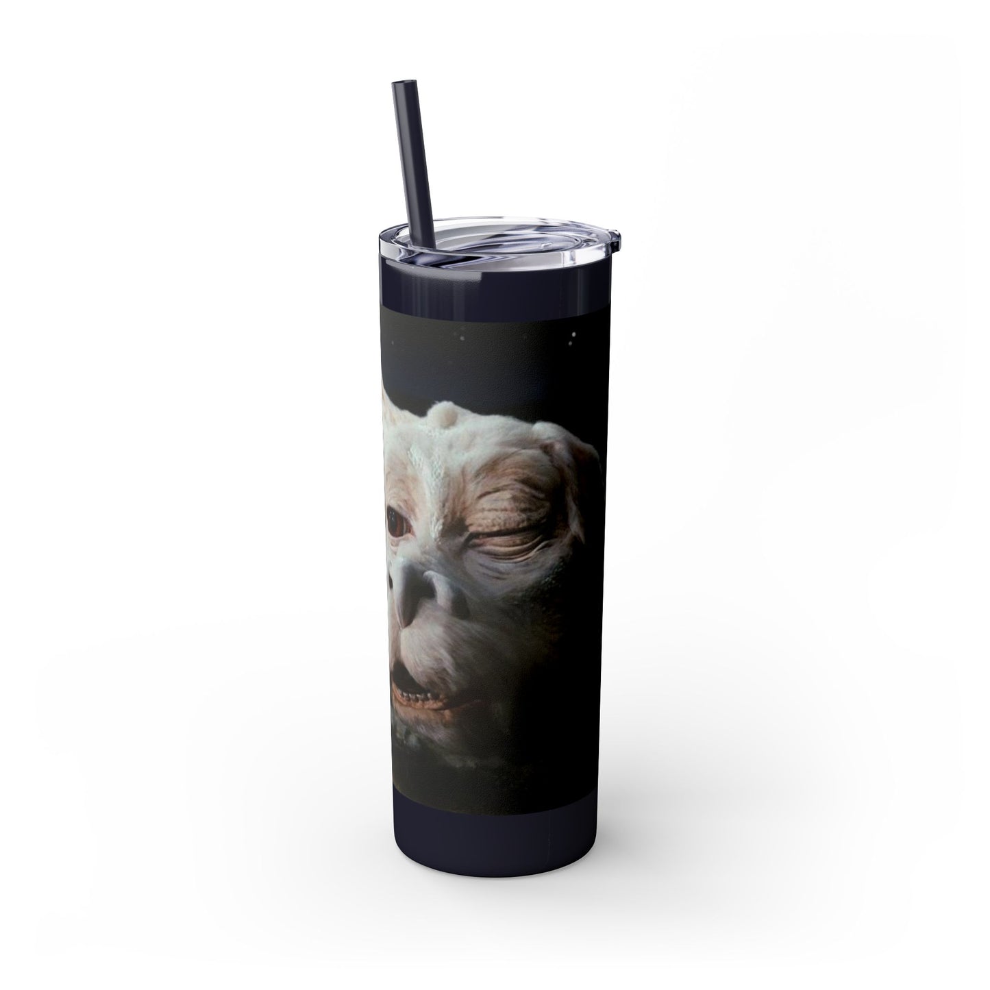 Flacor & Atreyu Neverending Story Skinny Tumbler