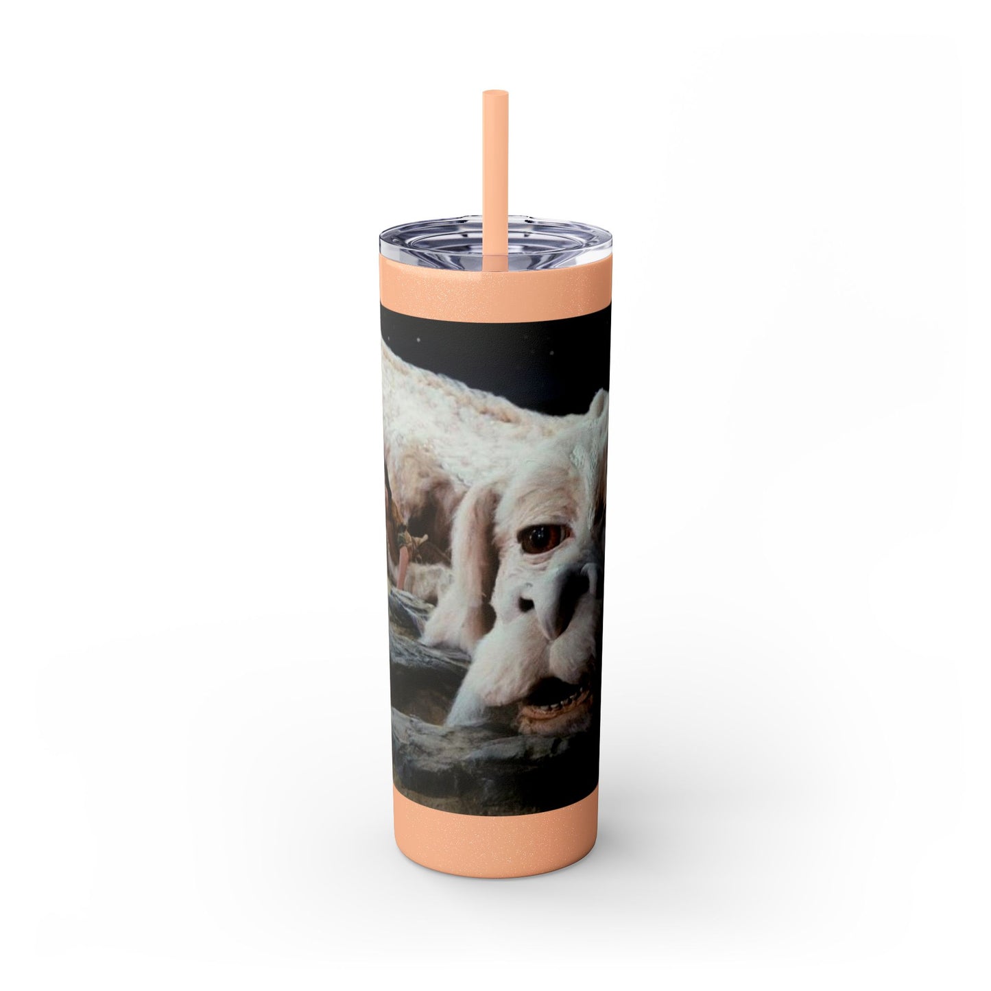 Flacor & Atreyu Neverending Story Skinny Tumbler - House of O & A