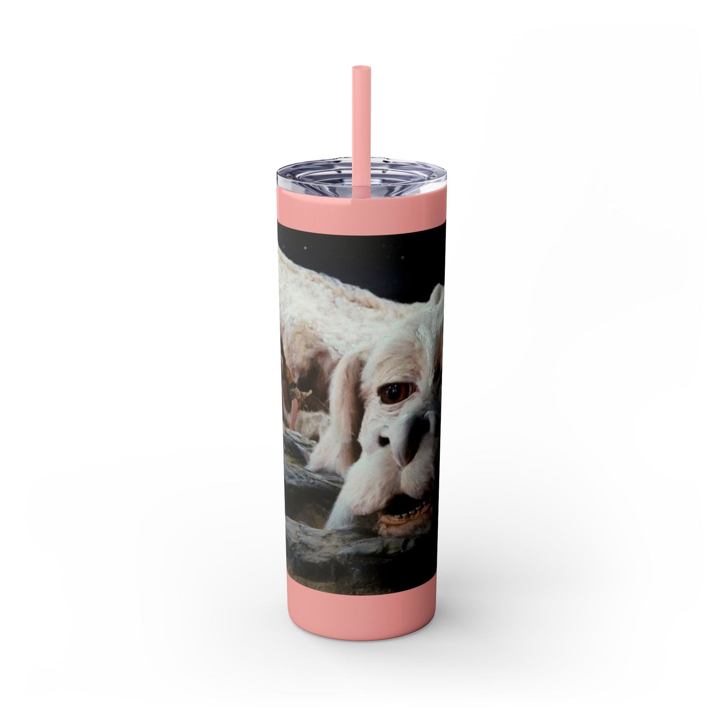 Flacor & Atreyu Neverending Story Skinny Tumbler - House of O & A