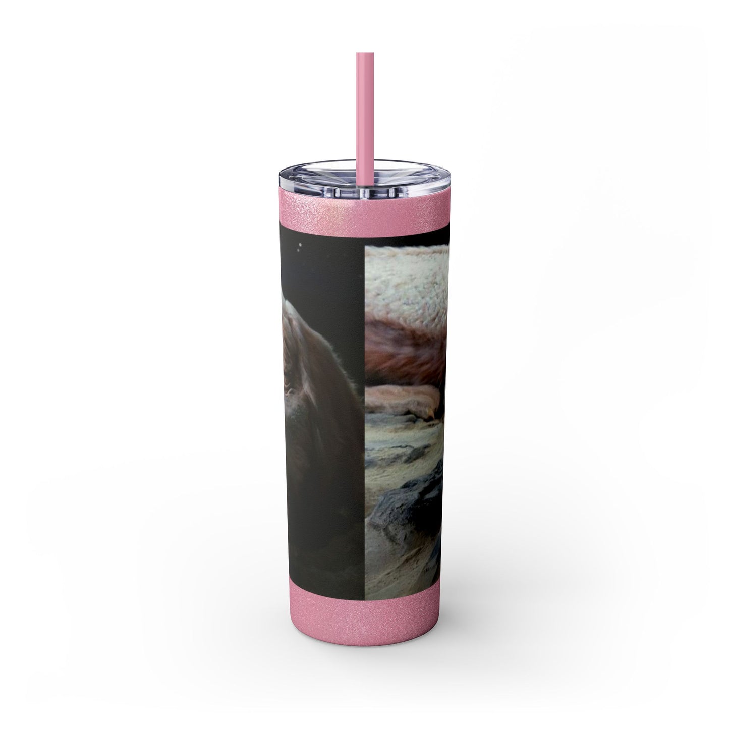 Flacor & Atreyu Neverending Story Skinny Tumbler