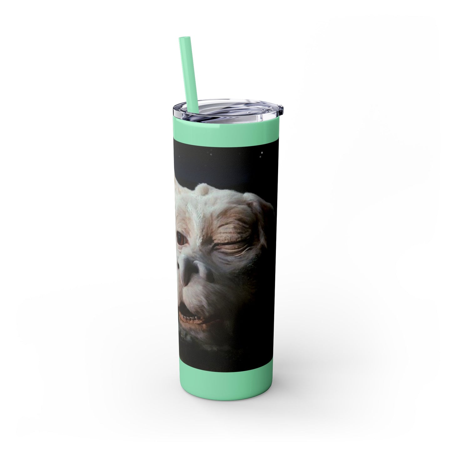 Flacor & Atreyu Neverending Story Skinny Tumbler - House of O & A