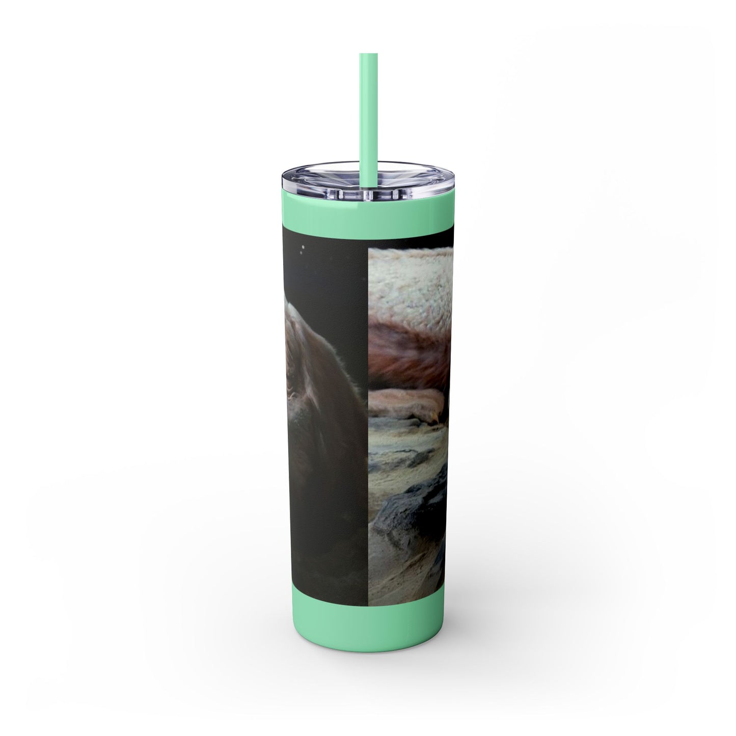 Flacor & Atreyu Neverending Story Skinny Tumbler - House of O & A