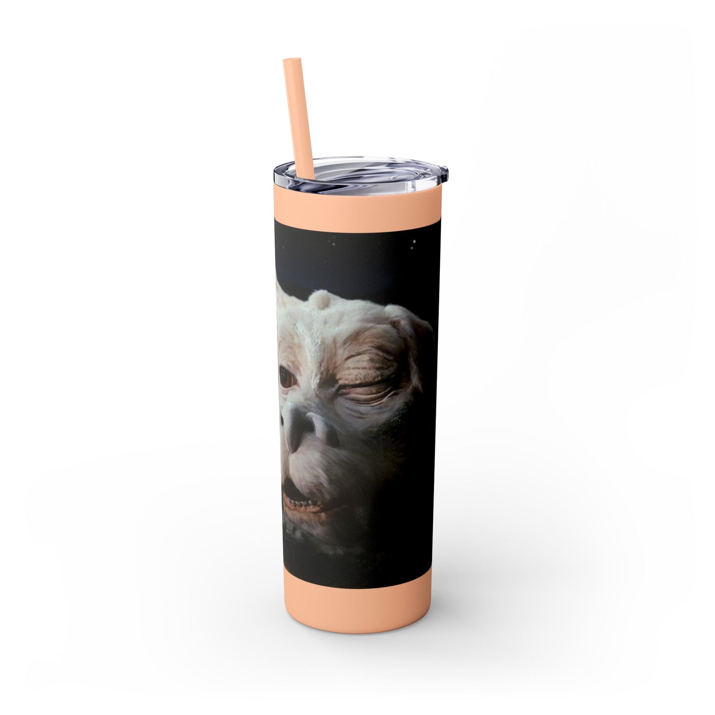 Flacor & Atreyu Neverending Story Skinny Tumbler - House of O & A