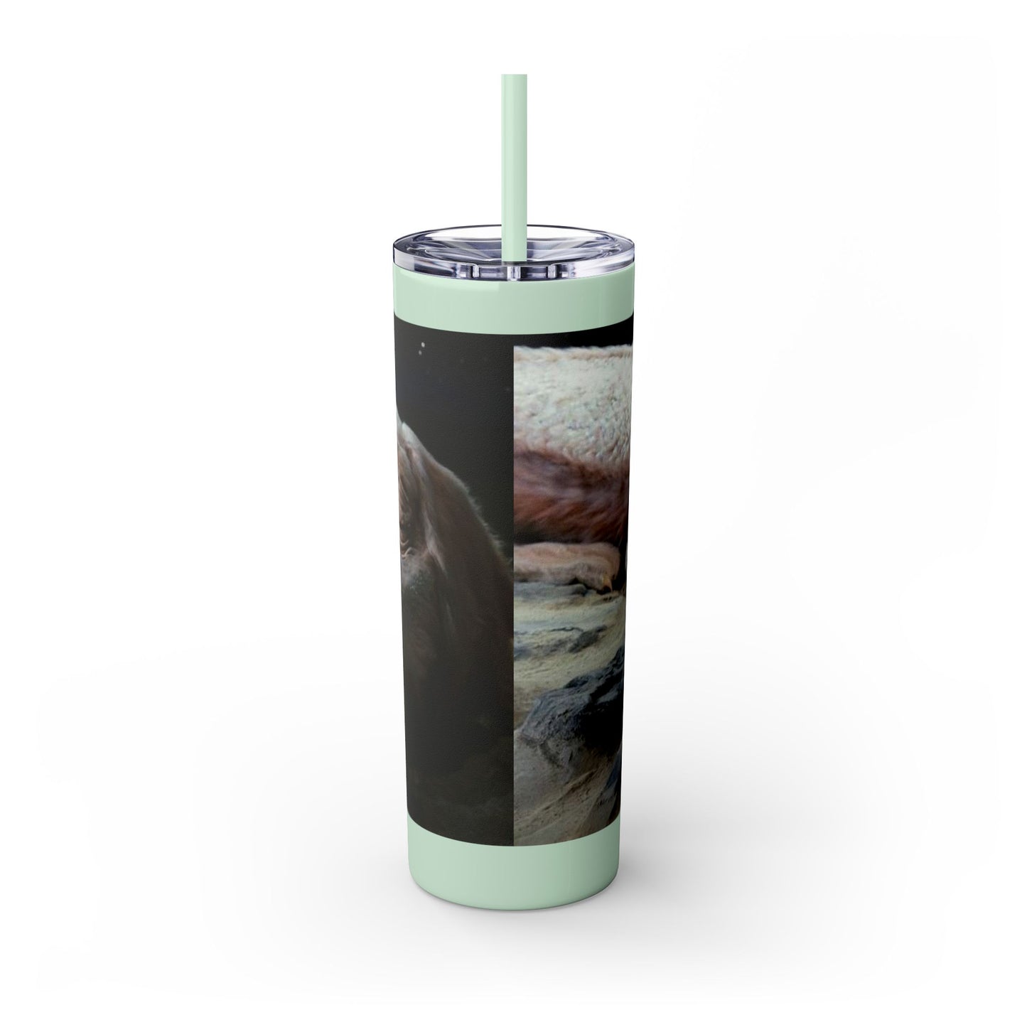Flacor & Atreyu Neverending Story Skinny Tumbler