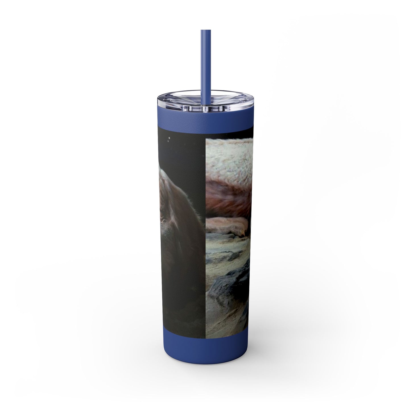 Flacor & Atreyu Neverending Story Skinny Tumbler