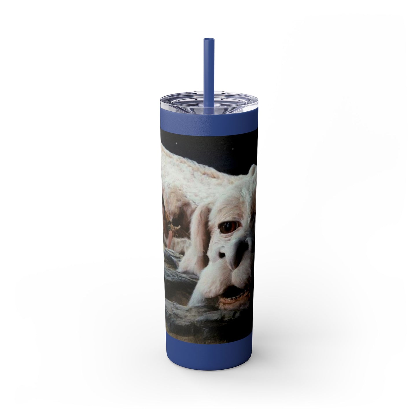 Flacor & Atreyu Neverending Story Skinny Tumbler - House of O & A