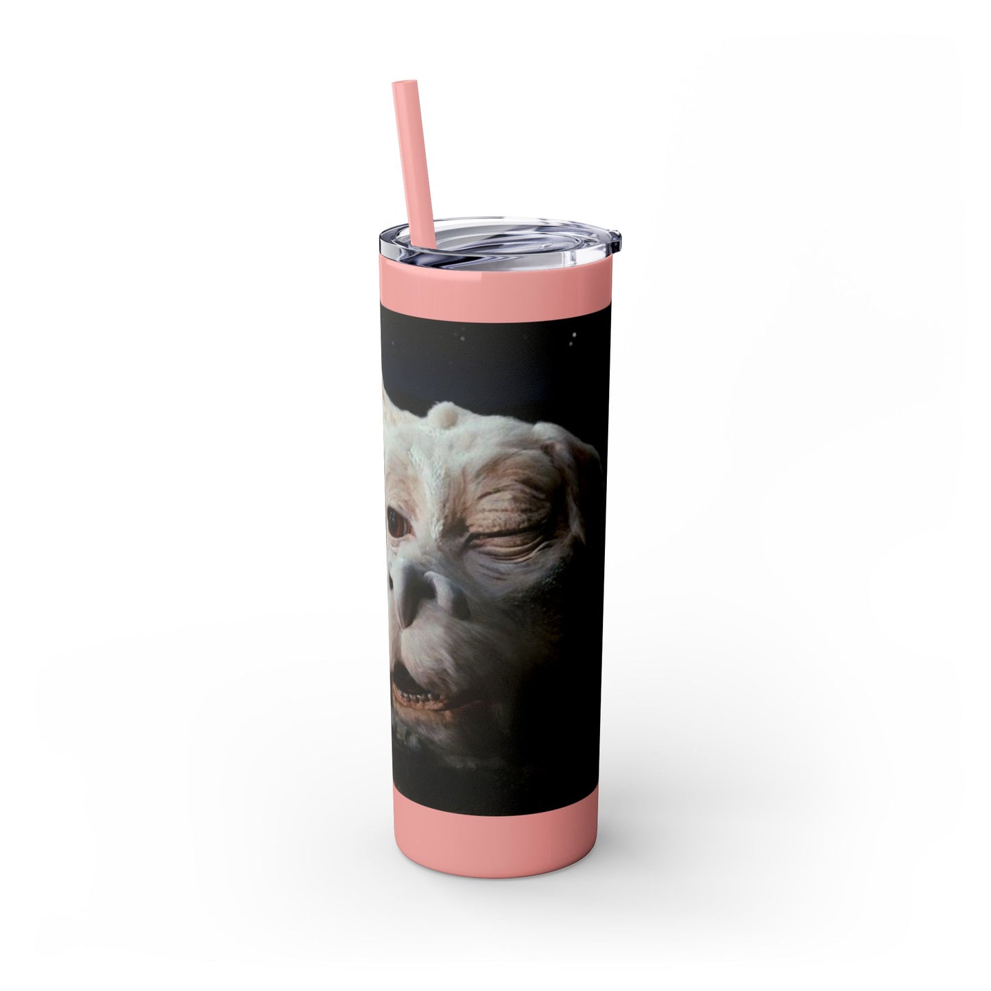 Flacor & Atreyu Neverending Story Skinny Tumbler