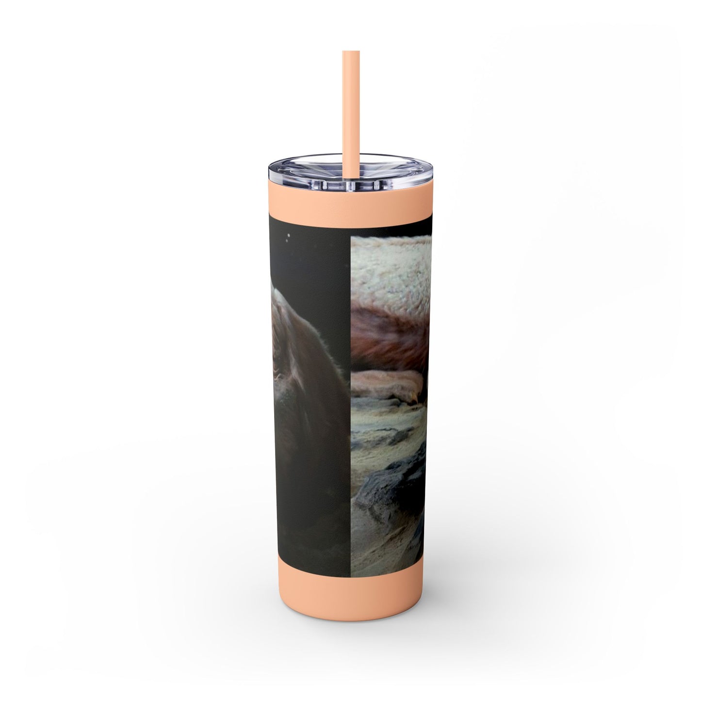 Flacor & Atreyu Neverending Story Skinny Tumbler - House of O & A