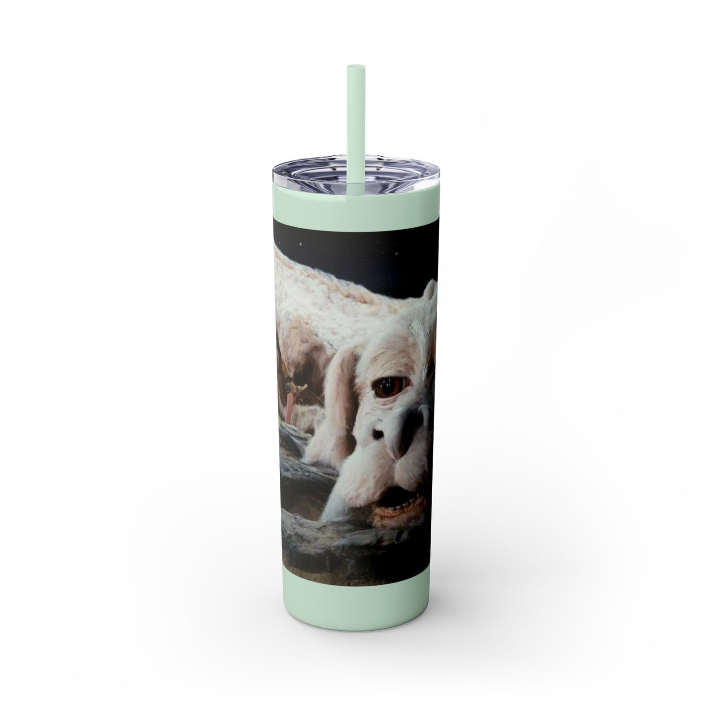 Flacor & Atreyu Neverending Story Skinny Tumbler - House of O & A