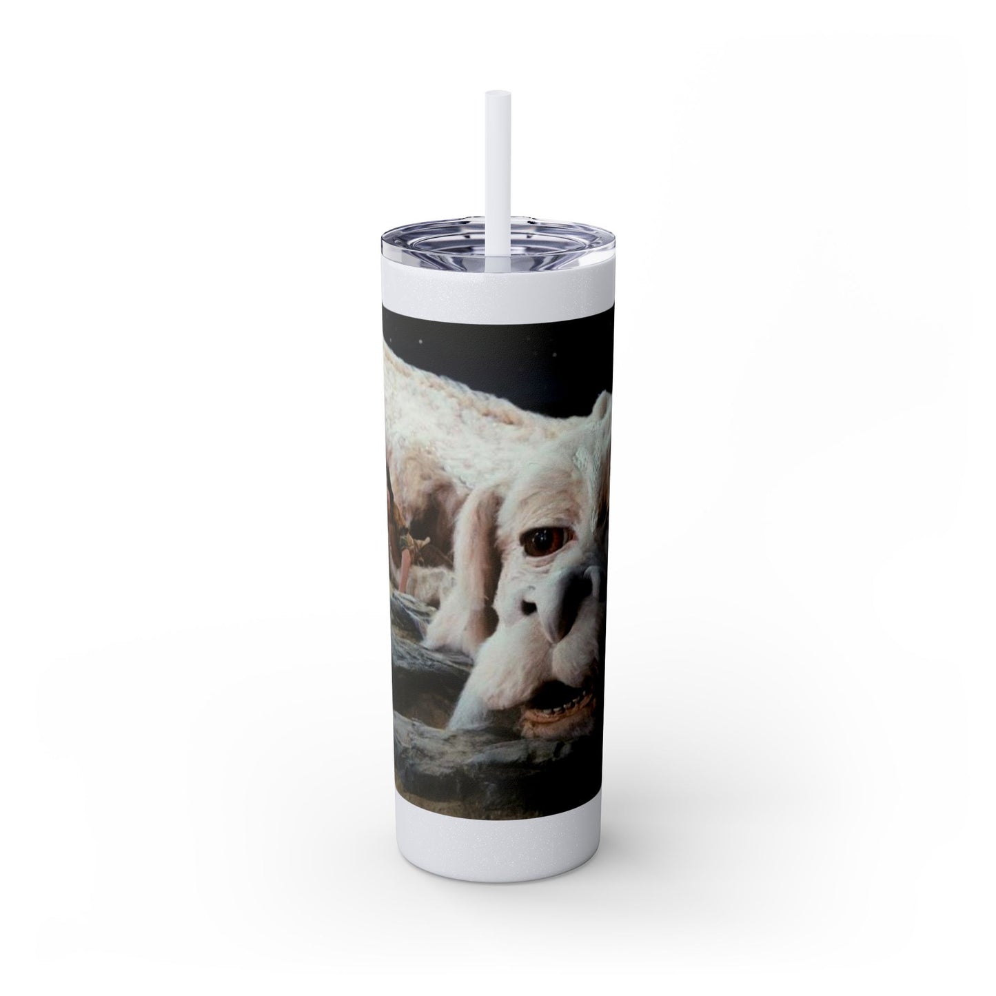 Flacor & Atreyu Neverending Story Skinny Tumbler - House of O & A