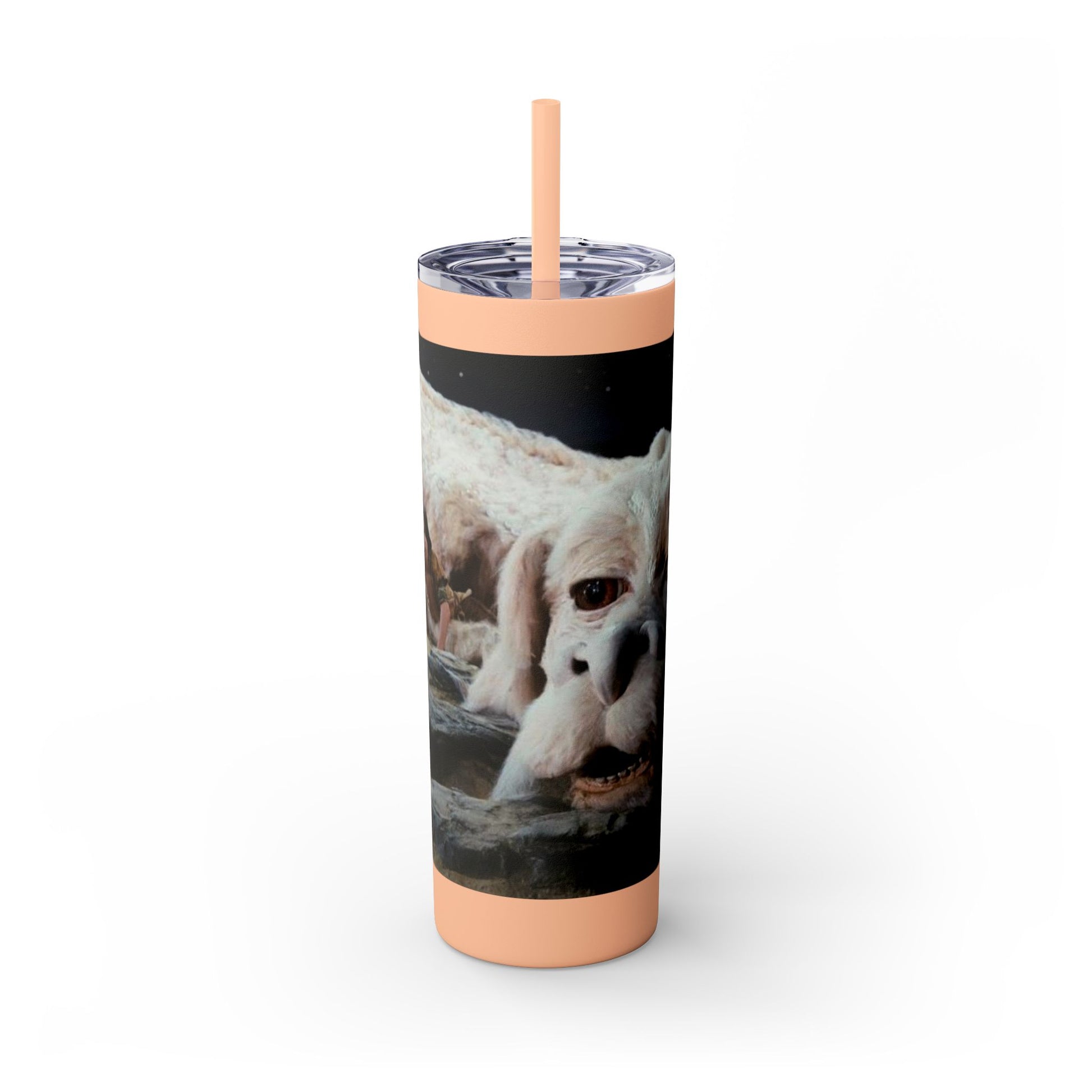 Flacor & Atreyu Neverending Story Skinny Tumbler - House of O & A