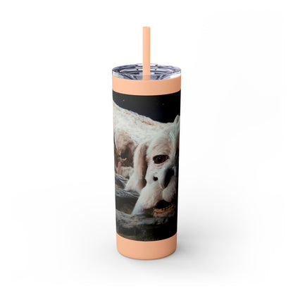Flacor & Atreyu Neverending Story Skinny Tumbler - House of O & A