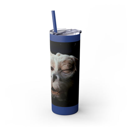Flacor & Atreyu Neverending Story Skinny Tumbler