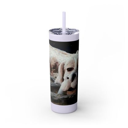 Flacor & Atreyu Neverending Story Skinny Tumbler - House of O & A