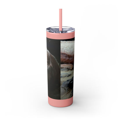 Flacor & Atreyu Neverending Story Skinny Tumbler
