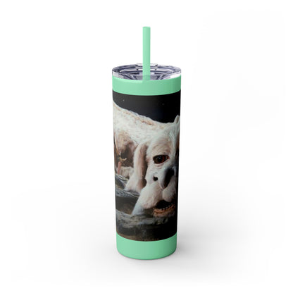 Flacor & Atreyu Neverending Story Skinny Tumbler - House of O & A