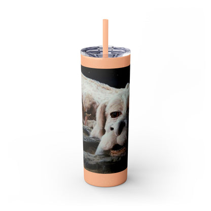 Flacor & Atreyu Neverending Story Skinny Tumbler - House of O & A
