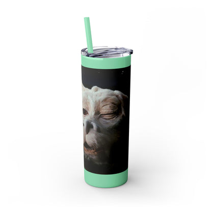 Flacor & Atreyu Neverending Story Skinny Tumbler - House of O & A