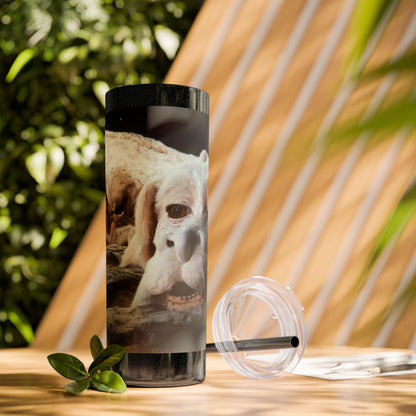 Flacor & Atreyu Neverending Story Skinny Tumbler