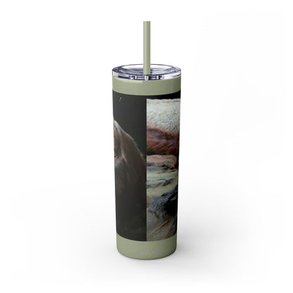 Flacor & Atreyu Neverending Story Skinny Tumbler - House of O & A
